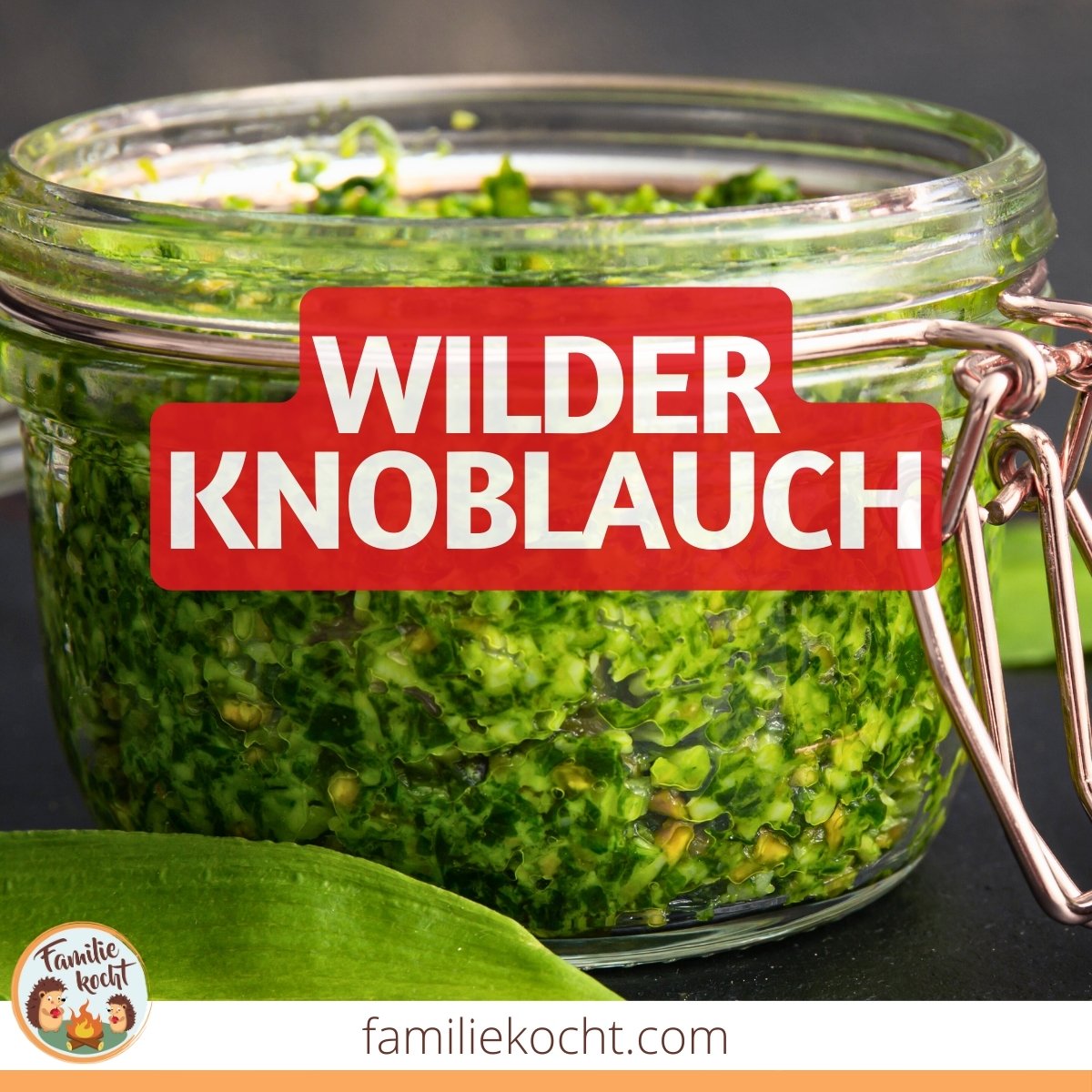 Wilder Knoblauch